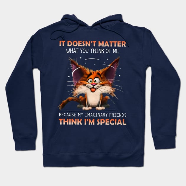 It Doesn't Matter What You Think Of Me Because My Imaginary Imaginary Friends Think I'm Special Hoodie by Distefano